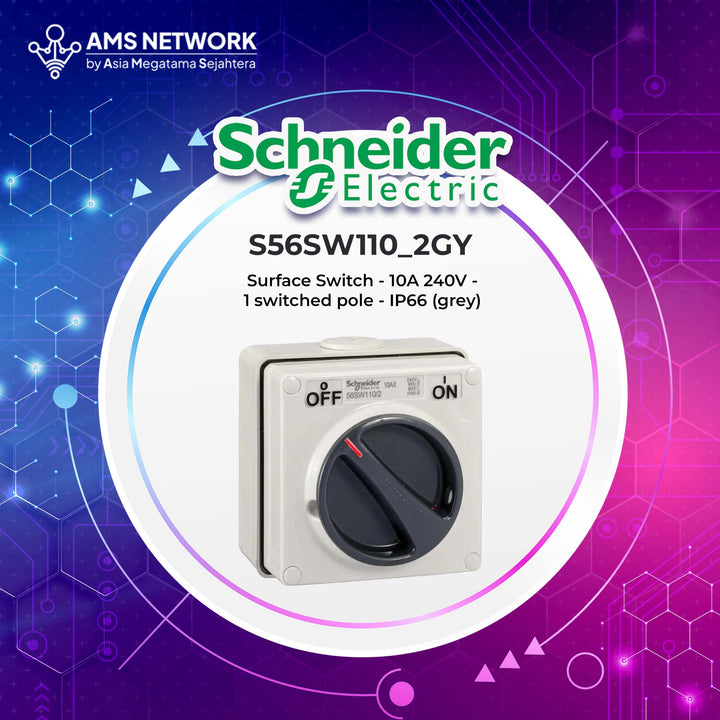 S56SW110_2GY - Schneider Electric WPS Surface Switch - 10A 250V - 1 switched pole - IP66 (grey)